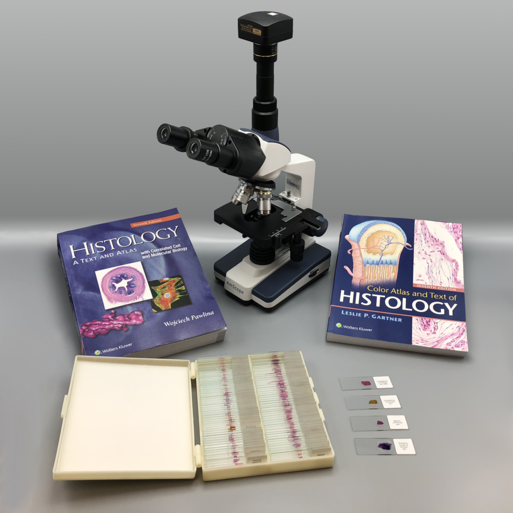 Prepared Human Histology Slide Set, AmScope Trinocular Microscope with ...