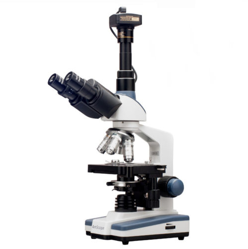 Trinocular Microcope and Camera
