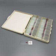 Prepared Human Histology Slides, set of 100